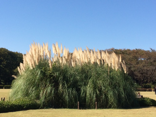 一目で空家とわからないように　～離れた実家の片づけ～