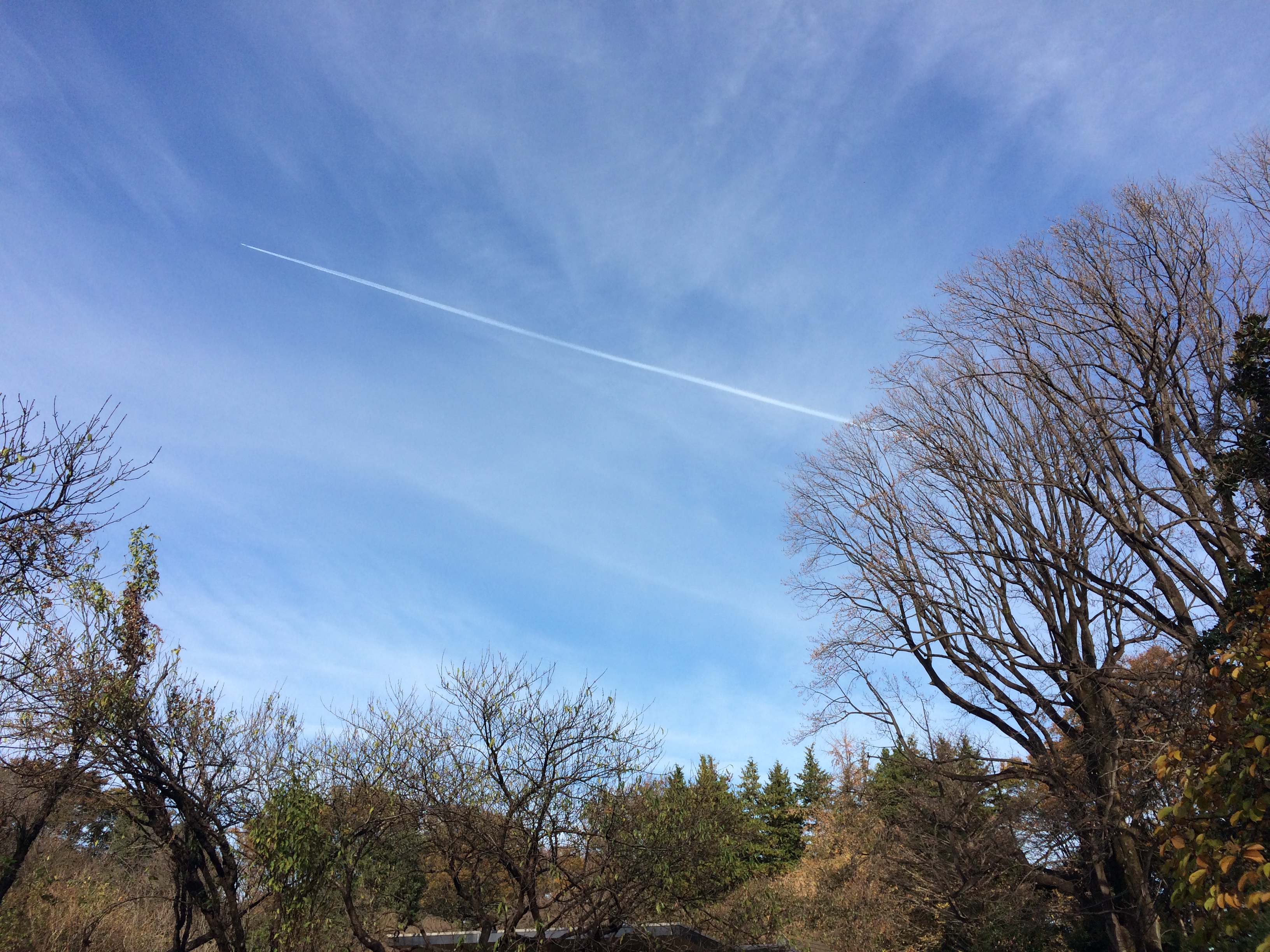 子供に財産なんて遺さなくてもいいのに