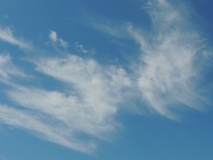 a0960_006977