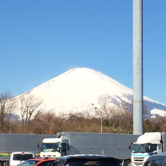 伊豆半島一周してきました。