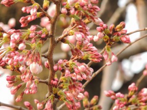 a0960_006404