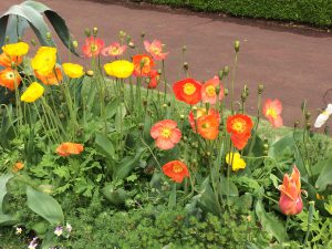 IMG_0504
