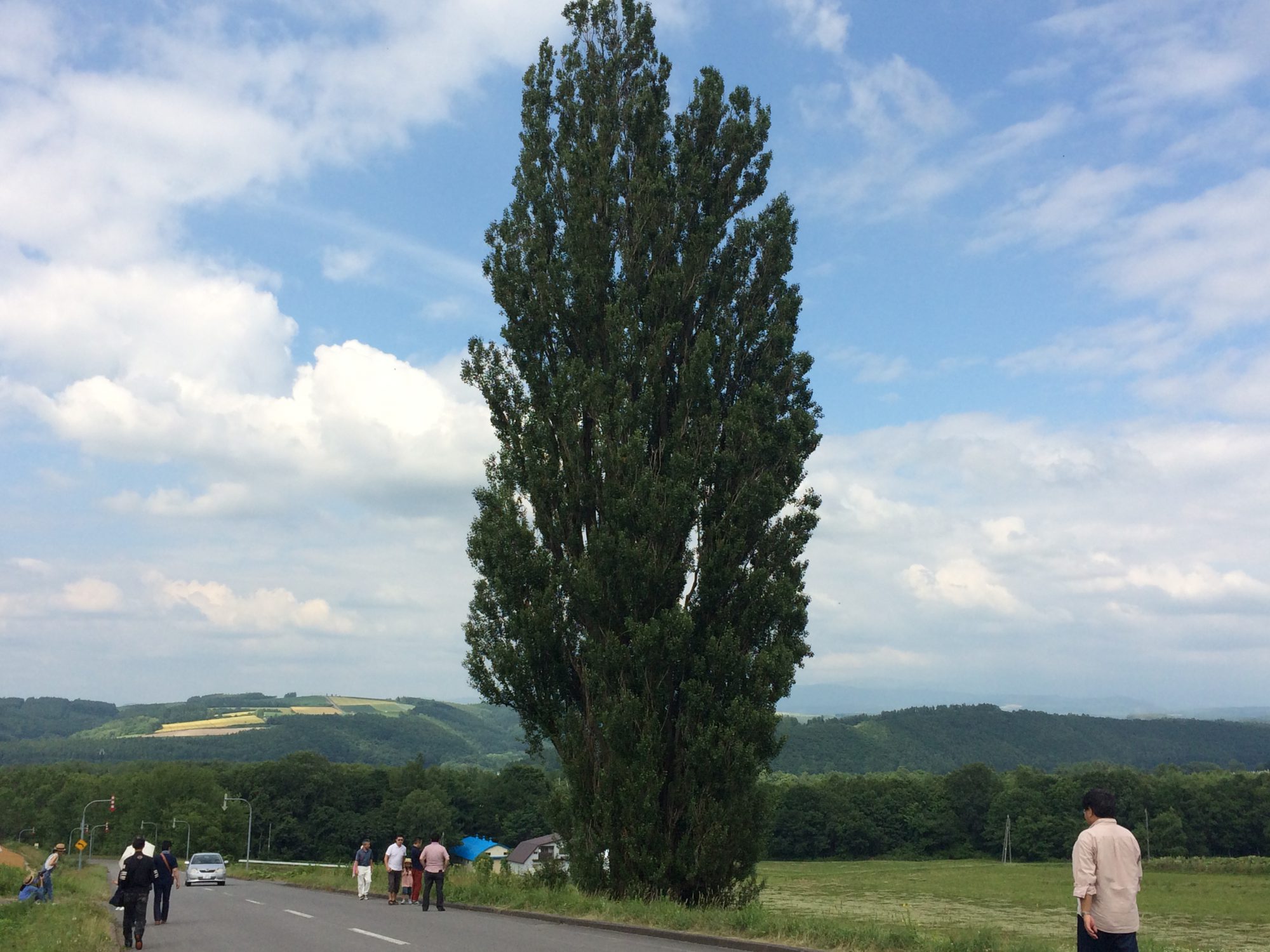 残念ながら、成長戦略は得意じゃありません。