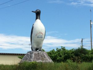 道端にたたずむオロロン鳥