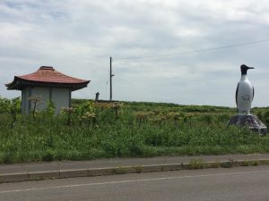 IMG_0691[1]
