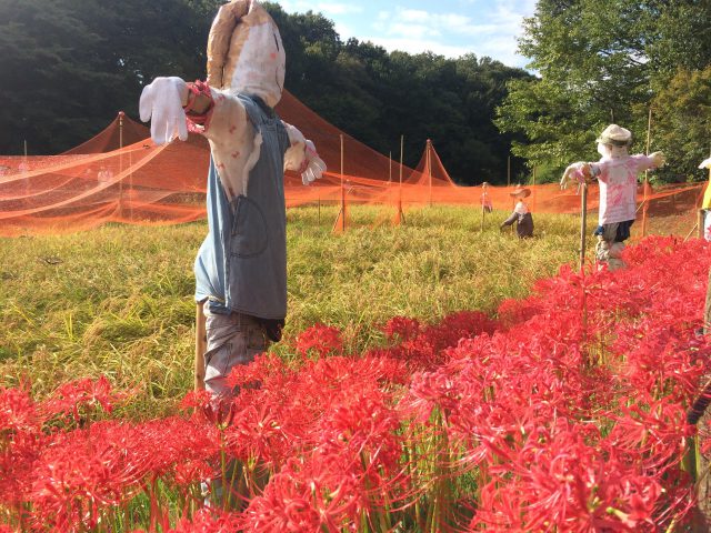 大した財産もないんですが、遺言書って書いたほうがいいんでしょうか？